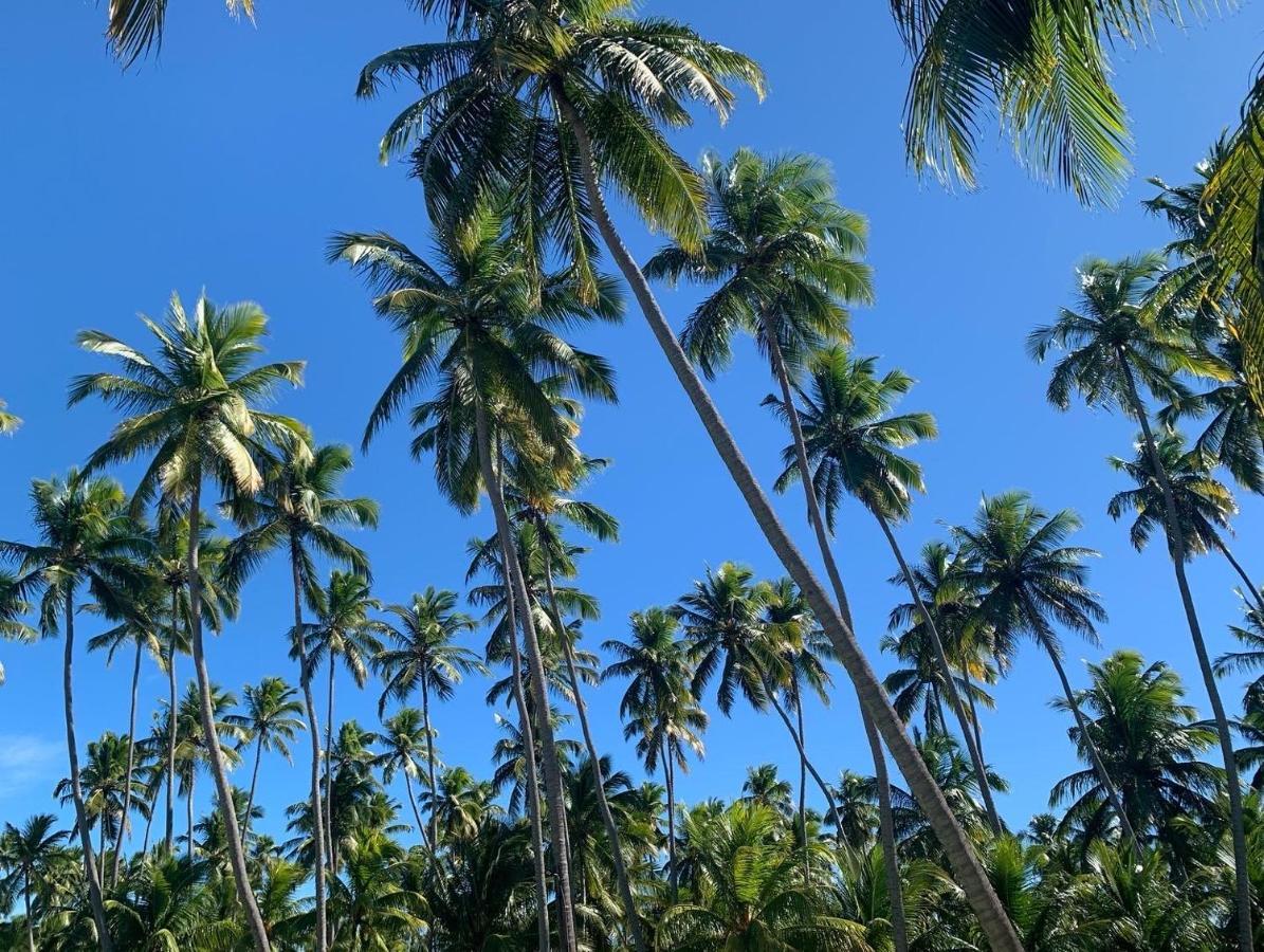 Flat 118 Eco Resort Praia Dos Carneiros Tamandaré 外观 照片